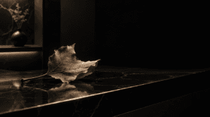Feuille d'automne séchée posée sur un plan de marbre noir, éclairage clair-obscur, ambiance sobre de cabinet de médecine esthétique